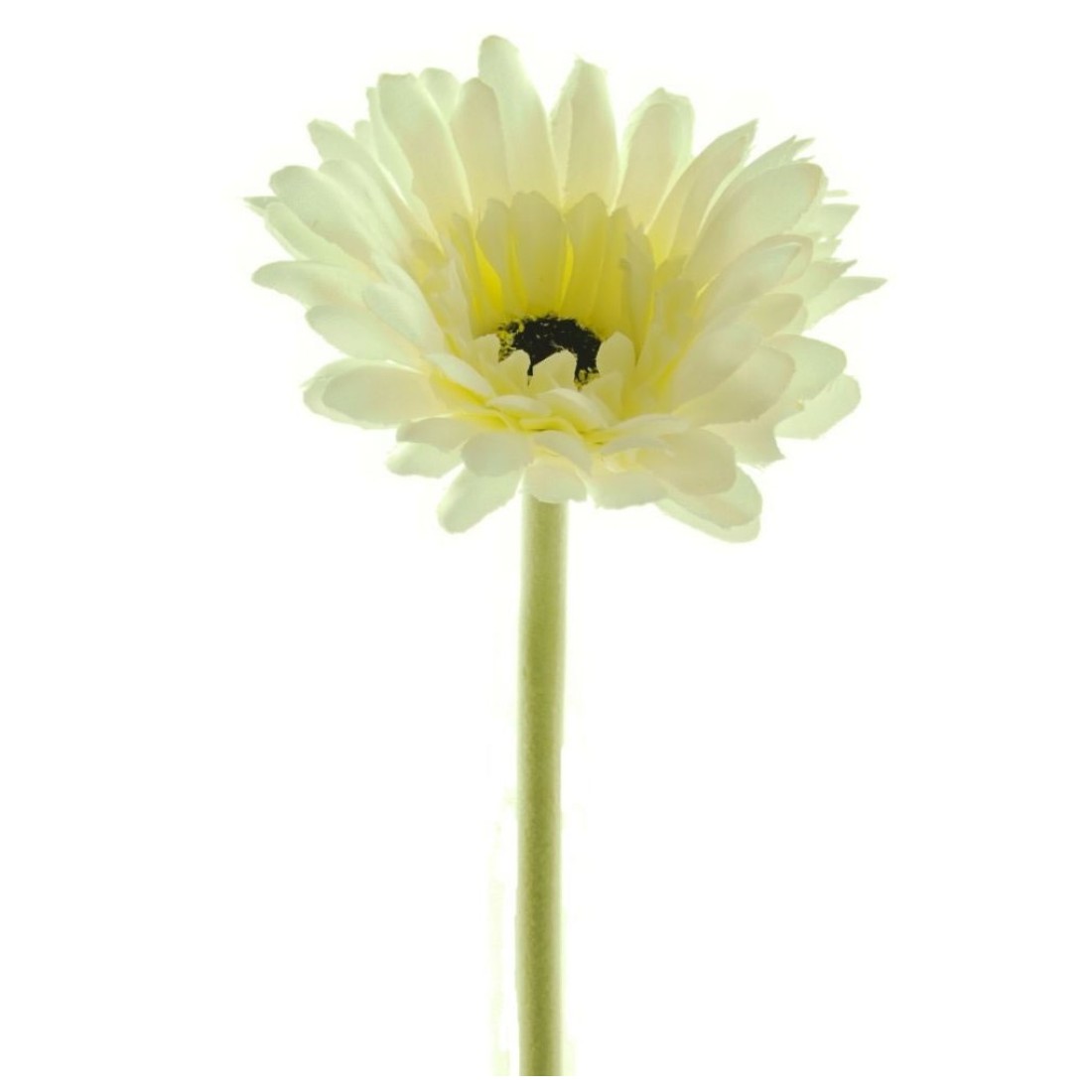 Artificial Gerbera Cream Small 57cm Artificial Flowers